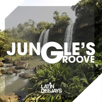 Jungle’s Groove
